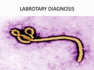 LABROTARY DIAGNOSIS

 