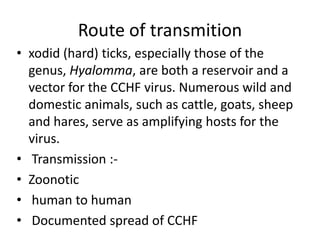 Route of transmition
• xodid (hard) ticks, especially those of the
genus, Hyalomma, are both a reservoir and a
vector for the CCHF virus. Numerous wild and
domestic animals, such as cattle, goats, sheep
and hares, serve as amplifying hosts for the
virus.
• Transmission :• Zoonotic
• human to human
• Documented spread of CCHF

 