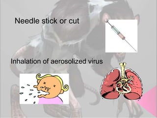 Needle stick or cut

Inhalation of aerosolized virus

 