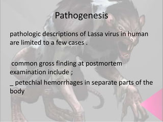 Pathogenesis
pathologic descriptions of Lassa virus in human
are limited to a few cases .
common gross finding at postmortem
examination include ;
_ petechial hemorrhages in separate parts of the
body

 