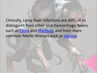 Clinically, Lassa fever infections are difficult to
distinguish from other viral hemorrhagic fevers
such as Ebola and Marburg, and from more
common febrile illnesses such as malaria

 