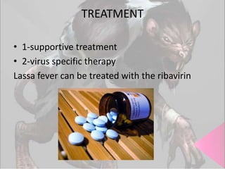 TREATMENT
• 1-supportive treatment
• 2-virus specific therapy
Lassa fever can be treated with the ribavirin

 