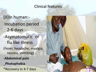 Clinical features

(II)In human:Incubation period
2-6 days
-Asymptomatic or
flu like illness
(Fever, headache, myalgia,
nausea, vomiting)
-Abdominal pain
_Photophobia
*Recovery in 4-7 days

 