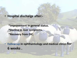 • Hospital discharge after:*Improvement in general status.
*Decline in liver symptoms.
*Recovery from DIC.
• Follow-up in ophthalmology and medical clinics for

6 weeks .

 