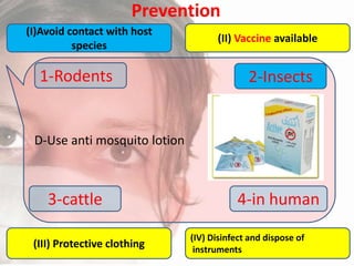 Prevention
(I)Avoid contact with host
species

1-Rodents

(II) Vaccine available

2-Insects

D-Use anti mosquito lotion

3-cattle
(III) Protective clothing

4-in human
(IV) Disinfect and dispose of
instruments

 