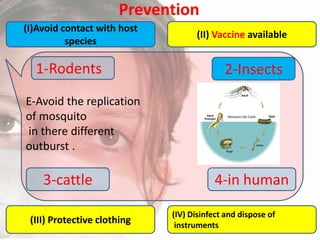 Prevention
(I)Avoid contact with host
species

1-Rodents

(II) Vaccine available

2-Insects

E-Avoid the replication
of mosquito
in there different
outburst .

3-cattle
(III) Protective clothing

4-in human
(IV) Disinfect and dispose of
instruments

 
