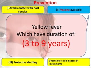 Prevention
(I)Avoid contact with host
species

(II) Vaccine available

Yellow fever
Which have duration of:

(3 to 9 years)
(III) Protective clothing

(IV) Disinfect and dispose of
instruments

 