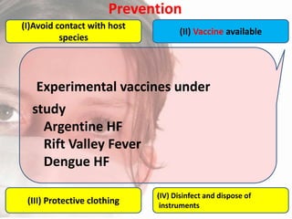 Prevention
(I)Avoid contact with host
species

(II) Vaccine available

Experimental vaccines under
study
Argentine HF
Rift Valley Fever
Dengue HF
(III) Protective clothing

(IV) Disinfect and dispose of
instruments

 