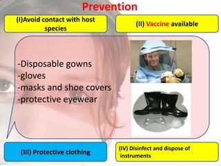 Prevention
(I)Avoid contact with host
species

(II) Vaccine available

-Disposable gowns
-gloves
-masks and shoe covers
-protective eyewear

(III) Protective clothing

(IV) Disinfect and dispose of
instruments

 