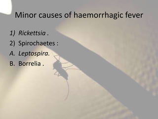 Minor causes of haemorrhagic fever
1)
2)
A.
B.

Rickettsia .
Spirochaetes :
Leptospira.
Borrelia .

 
