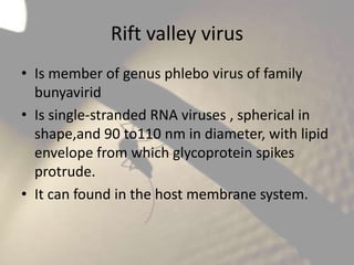 Rift valley virus
• Is member of genus phlebo virus of family
bunyavirid
• Is single-stranded RNA viruses , spherical in
shape,and 90 to110 nm in diameter, with lipid
envelope from which glycoprotein spikes
protrude.
• It can found in the host membrane system.

 