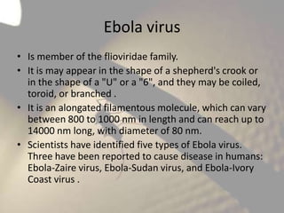 Ebola virus
• Is member of the flioviridae family.
• It is may appear in the shape of a shepherd's crook or
in the shape of a "U" or a "6", and they may be coiled,
toroid, or branched .
• It is an alongated filamentous molecule, which can vary
between 800 to 1000 nm in length and can reach up to
14000 nm long, with diameter of 80 nm.
• Scientists have identified five types of Ebola virus.
Three have been reported to cause disease in humans:
Ebola-Zaire virus, Ebola-Sudan virus, and Ebola-Ivory
Coast virus .

 