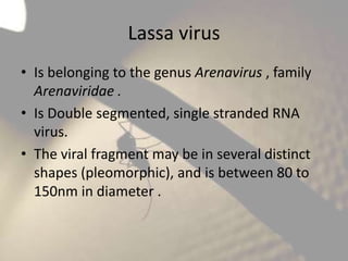 Lassa virus
• Is belonging to the genus Arenavirus , family
Arenaviridae .
• Is Double segmented, single stranded RNA
virus.
• The viral fragment may be in several distinct
shapes (pleomorphic), and is between 80 to
150nm in diameter .

 
