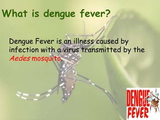 What is dengue fever?
Dengue Fever is an illness caused by
infection with a virus transmitted by the
Aedes mosquito.

 