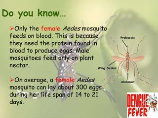 Do you know…
Only the female Aedes mosquito
feeds on blood. This is because
they need the protein found in
blood to produce eggs. Male
mosquitoes feed only on plant
nectar.
On average, a female Aedes
mosquito can lay about 300 eggs
during her life span of 14 to 21
days.

 