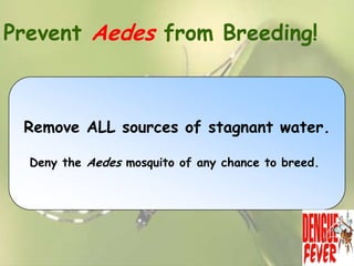 Prevent Aedes from Breeding!

Remove ALL sources of stagnant water.
Deny the Aedes mosquito of any chance to breed.

 