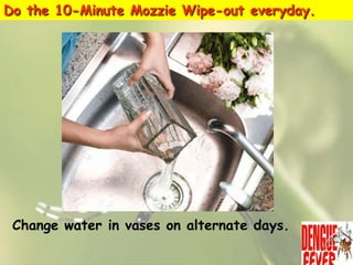 Do the 10-Minute Mozzie Wipe-out everyday.

Change water in vases on alternate days.

 