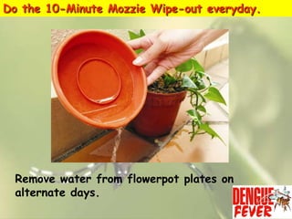 Do the 10-Minute Mozzie Wipe-out everyday.

Remove water from flowerpot plates on
alternate days.

 