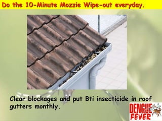 Do the 10-Minute Mozzie Wipe-out everyday.

Clear blockages and put Bti insecticide in roof
gutters monthly.

 