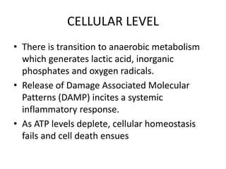 CELLULAR LEVEL
• There is transition to anaerobic metabolism
which generates lactic acid, inorganic
phosphates and oxygen radicals.
• Release of Damage Associated Molecular
Patterns (DAMP) incites a systemic
inflammatory response.
• As ATP levels deplete, cellular homeostasis
fails and cell death ensues
 
