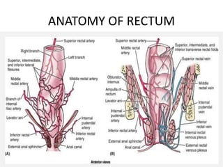 Rectate Clot Hemorrhoids | PPTX