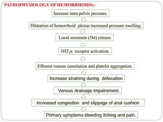 PATHOPHYSIOLOGY OFHEMORRHOIDS:-
 