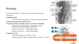 Histology
 Hemorrhoids (“piles” or “cushions”) are normal anatomic structures
consisting of:
1-Epithelial Lining:
Mucosa (internal hemorrhoids) vs Anoderm (external hemorrhoids)
2-Submucosa (supporting connective tissue)
3-Vascular Structures (Arterioles, Venules, AV Shunts or Sinusoids):
Retrorectal Plexus (SRA, MRA) → Right Anterior, Right
Posterior, Left Terminal Branches (III, VII, XI)
Internal venous plexus → Internal Hemorrhoids
External venous plexus → External Hemorrhoids
4-Ligament of Treitz:
Anal Submucosal Muscle: Cushions → Int S
Suspensory (Park’s) Ligament: Penetrates Int S, Attaches to L. Muscle
 