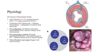 Physiology
 Functions of Hemorrhoids Include:
 Anal Continence (15-20% of normal pressure,
closes 7-8 mm gap), proposed by Stelzner :
• Contraction of Int S (during rest) → Reduced
Venous Return → Enlargement of Cushions Seals
Anal Canal
• During Defecation: Int S Relaxes (Increased
Venous Return), Treitz’s Muscle Contracts, Stool
inserts pressure
• During Sneezing or coughing: Increased
Intraabdominal Pressure → Increased Pressure in
IVC → Reduced Venous Return, Cushions Engorge
 Helps differentiate stool, liquid and gas in anal
canal (Via ENS)
 