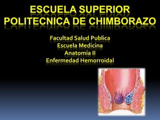 Facultad Salud Publica
Escuela Medicina
Anatomía II
Enfermedad Hemorroidal

 