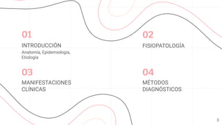 01 02
MANIFESTACIONES
CLÍNICAS
03
MÉTODOS
DIAGNÓSTICOS
04
INTRODUCCIÓN
Anatomía, Epidemiología,
Etiología
FISIOPATOLOGÍA
3
 