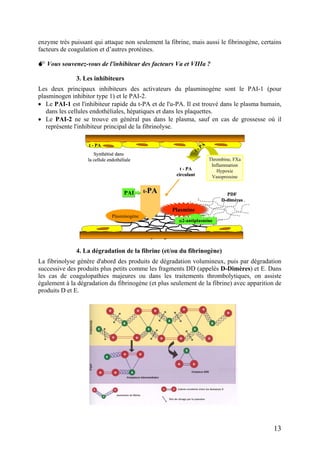 enzyme très puissant qui attaque non seulement la fibrine, mais aussi le fibrinogène, certains
facteurs de coagulation et d’autres protéines.
Vous souvenez-vous de l'inhibiteur des facteurs Va et VIIIa ?
3. Les inhibiteurs
Les deux principaux inhibiteurs des activateurs du plasminogène sont le PAI-1 (pour
plasminogen inhibitor type 1) et le PAI-2.
• Le PAI-1 est l'inhibiteur rapide du t-PA et de l'u-PA. Il est trouvé dans le plasma humain,
dans les cellules endothéliales, hépatiques et dans les plaquettes.
• Le PAI-2 ne se trouve en général pas dans le plasma, sauf en cas de grossesse où il
représente l'inhibiteur principal de la fibrinolyse.
4. La dégradation de la fibrine (et/ou du fibrinogène)
PDF
D-dimères
t - PA
circulant
t - PA
Synthétisé dans
la cellule endothéliale
t - PA
Thrombine, FXa
Inflammation
Hypoxie
Vasopressine
Plasminogène
PlasminePlasmine
α2-antiplasmineα2-antiplasmine
tt--PAPAPAIPAI PDF
D-dimères
PDF
D-dimères
t - PA
circulant
t - PA
t - PA
circulant
t - PA
Synthétisé dans
la cellule endothéliale
t - PA
Synthétisé dans
la cellule endothéliale
t - PA
Thrombine, FXa
Inflammation
Hypoxie
Vasopressine
Plasminogène
PlasminePlasmine
α2-antiplasmineα2-antiplasmine
tt--PAPAtt--PAPAPAIPAI
La fibrinolyse génère d'abord des produits de dégradation volumineux, puis par dégradation
successive des produits plus petits comme les fragments DD (appelés D-Dimères) et E. Dans
les cas de coagulopathies majeures ou dans les traitements thrombolytiques, on assiste
également à la dégradation du fibrinogène (et plus seulement de la fibrine) avec apparition de
produits D et E.
13
 