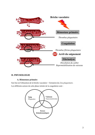 Brèche vasculaire
Hémostase primaire
Coagulation
Thrombus plaquettaire
Thrombus fibrino-plaquettaire
Fibrinolyse
Arrêt du saignement
Dissolution du caillot
Reperméabilisation du vaisseau
Brèche vasculaireBrèche vasculaire
Hémostase primaire
Coagulation
Thrombus plaquettaire
Thrombus fibrino-plaquettaire
Fibrinolyse
Arrêt du saignementArrêt du saignement
Dissolution du caillot
Reperméabilisation du vaisseau
II. PHYSIOLOGIE
A. Hémostase primaire
Son but est l'obturation de la brèche vasculaire = formation du clou plaquettaire.
Les différents acteurs de cette phase initiale de la coagulation sont :
Sang
Plaquettes
Vaisseau
Vasoconstriction
Forces
hémodynamiques
3
 