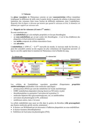 1. Vaisseau
La phase vasculaire de l'hémostase consiste en une vasoconstriction réflexe immédiate
(expliquant la différence de taille entre la partie droite et gauche du schéma ci-dessous) mais
transitoire des vaisseaux lésés (sous l'action de différents médiateurs, dont l’endothéline).
Regardez bien la figure ci-dessous qui montre que quand le vaisseau est lésé, le diamètre est
diminué par rapport au vaisseau sain.
Rappels sur les vaisseaux (cf cours 1ère
année) :
Ils sont constitués par :
− un endothélium qui a de multiples propriétés et n'est pas thrombogène
− un sous-endothélium qui est par contre très thrombogène : il est le lieu d'adhésion des
plaquettes et d'activation de la coagulation
− une média composée de cellules musculaires lisses
− une adventice
L'endothélium (≈ 6500 m2
, = la 8ème
merveille du monde, le nouveau stade du Servette...),
peut être considéré comme un des organes les plus volumineux de l'organisme (environ 1,5
kg) et a un rôle capital dans le maintien de l'hémostase et de la fluidité du sang.
Les cellules de l'endothélium vasculaire possèdent d'importantes propriétés
antithrombotiques attribuables à des molécules spécifiques :
Le vaisseau sain Le vaisseau lésé
Endothélium : « thromborésistant »
Sous-endothélium
Protège de l’activation
des plaquettes
Synthétise des protéines
du système fibrinolytique
Régule négativement
la coagulation
Endothélium : « thromborésistant »
Sous-endothélium
Protège de l’activation
des plaquettes
Synthétise des protéines
du système fibrinolytique
Régule négativement
la coagulation
Micro fibrilles Collagène
Coagulation
Facteur tissulaire
Hémostase primaire
vWF vWF
vWF
Facteur von Willebrand
Mise à nu du sous-endothélium thrombogène
Micro fibrillesMicro fibrilles CollagèneCollagène
Coagulation
Facteur tissulaire
Hémostase primaire
vWF vWF
vWF
Facteur von Willebrand
Mise à nu du sous-endothélium thrombogène
− prostacyclines (PGI2) qui sont des métabolites de l'acide arachidonique
− EDRF (endothelium-dependent relaxing factor) ou NO (nitric oxyde)
− thrombomoduline (va permettre l’activation de la protéine C)
− molécules héparine-like (glycosaminoglycans, etc.) et antithrombine
− activateurs du plasminogène (t-PA, urokinase)
− nombreuses autres, mais c’est assez
La cellule endothéliale joue aussi un rôle dans la genèse du thrombus (rôle procoagulant)
par d'autres molécules qu'elle sécrète, notamment :
• le facteur von Willebrand qui est nécessaire à l'adhésion plaquettaire au sous-endothélium
• le facteur tissulaire (thromboplastine)
• l'inhibiteur de l'activateur du plasminogène (PAI).
4
 