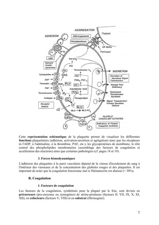 Cette représentation schématique de la plaquette permet de visualiser les différentes
fonctions plaquettaires (adhésion, activation-sécrétion et agrégation) ainsi que les récepteurs
(à l'ADP, à l'adrénaline, à la thrombine, PAF, etc.), les glycoprotéines de membrane, le rôle
central des phospholipides membranaires (assemblage des facteurs de coagulation et
accélération des réactions) ainsi que certaines pathologies (cf. pages 18 et 19).
3. Forces hémodynamiques
L'adhésion des plaquettes à la paroi vasculaire dépend de la vitesse d'écoulement du sang à
l'intérieur des vaisseaux et de la concentration des globules rouges et des plaquettes. Il est
important de noter que la coagulation fonctionne mal si l'hématocrite est abaissé (< 30%).
B. Coagulation
1. Facteurs de coagulation
Les facteurs de la coagulation, synthétisés pour la plupart par le foie, sont divisés en
précurseurs (pro-enzymes ou zymogènes) de sérine-protéases (facteurs II, VII, IX, X, XI,
XII), en cofacteurs (facteurs V, VIII) et en substrat (fibrinogène).
7
 