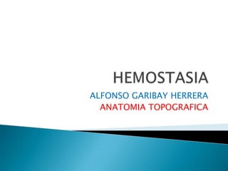 HEMOSTASIA ALFONSO GARIBAY HERRERA ANATOMIA TOPOGRAFICA 