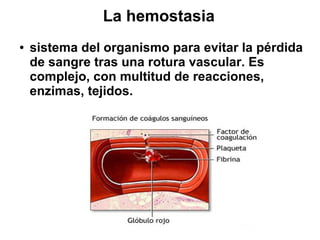 La hemostasia
●   sistema del organismo para evitar la pérdida
    de sangre tras una rotura vascular. Es
    complejo, con multitud de reacciones,
    enzimas, tejidos.
 