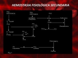 HEMOSTASIA FISIOLÓGICA SECUNDARIA
 