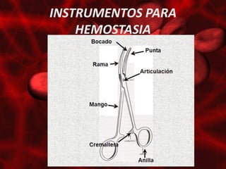 INSTRUMENTOS PARA
    HEMOSTASIA
 