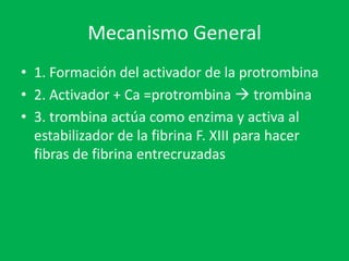 Mecanismo General
• 1. Formación del activador de la protrombina
• 2. Activador + Ca =protrombina  trombina
• 3. trombina actúa como enzima y activa al
  estabilizador de la fibrina F. XIII para hacer
  fibras de fibrina entrecruzadas
 