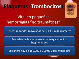 Plaquetas (Trombocitos)
     Vital en pequeñas
 hemorragias “no traumáticas”
 Discos redondos u ovalados de 1 a 4 um de diámetro

   Proceden de la media ósea por megacariocitos
                  fragmentados

 En sangre hay de 150,000 a 300,00 0 por micro litro
 