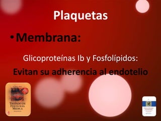 Plaquetas
•Membrana:
  Glicoproteínas Ib y Fosfolípidos:
Evitan su adherencia al endotelio
 