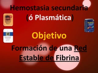 Hemostasia secundaria
   (ó Plasmática)

     Objetivo
Formación de una Red
  Estable de Fibrina
 