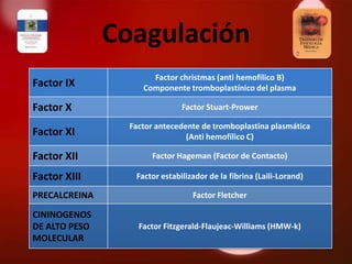 Coagulación
                      Factor christmas (anti hemofílico B)
Factor IX           Componente tromboplastínico del plasma

Factor X                       Factor Stuart-Prower

                 Factor antecedente de tromboplastina plasmática
Factor XI                       (Anti hemofílico C)

Factor XII            Factor Hageman (Factor de Contacto)

Factor XIII       Factor estabilizador de la fibrina (Laili-Lorand)

PRECALCREINA                      Factor Fletcher

CININOGENOS
DE ALTO PESO       Factor Fitzgerald-Flaujeac-Williams (HMW-k)
MOLECULAR
 