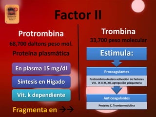 Factor II
   Protrombina                      Trombina
                           33,700 peso molecular
68,700 daltons peso mol.
 Proteína plasmática               Estimula:
  En plasma 15 mg/dl                  Procoagulantes
                           Protrombina Acelera activación de factores
   Síntesis en Hígado       VIII, IX X XI, XII, agregación plaquetaria



  Vit. k dependiente                  Anticoagulantes
                                  Proteína C, Trombomodulina
 Fragmenta en 
 