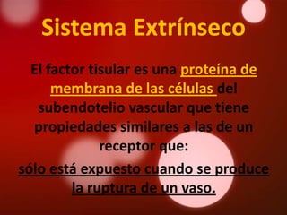 Sistema Extrínseco
  El factor tisular es una proteína de
      membrana de las células del
   subendotelio vascular que tiene
  propiedades similares a las de un
              receptor que:
sólo está expuesto cuando se produce
         la ruptura de un vaso.
 