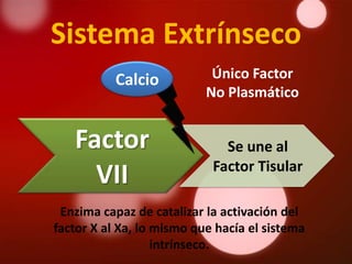 Sistema Extrínseco
           Calcio           Único Factor
                           No Plasmático


   Factor                     Se une al
                            Factor Tisular
     VII
 Enzima capaz de catalizar la activación del
factor X al Xa, lo mismo que hacía el sistema
                   intrínseco.
 