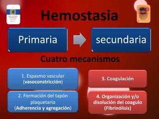 Hemostasia
 Primaria                    secundaria
           Cuatro mecanismos
   1. Espasmo vascular
                               3. Coagulación
    (vasoconstricción)

  2. Formación del tapón     4. Organización y/o
        plaquetario         disolución del coagulo
(Adherencia y agregación)        (Fibrinólisis)
 