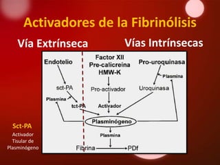 Activadores de la Fibrinólisis
   Vía Extrínseca      Vías Intrínsecas




  Sct-PA
  Activador
  Tisular de
Plasminógeno
 