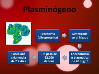 Plasminógeno

                Proenzima       Sintetizada
              (glicoproteína)   en el hígado




Posee una       Un peso de      Concentració
vida media        92,000        n plasmática
de 2.2 días      daltons        de 20 mg/dl
 