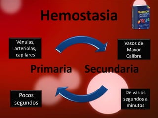 Hemostasia
 Vénulas,                  Vasos de
arteriolas,                 Mayor
 capilares                  Calibre

       Primaria    Secundaria
                            De varios
  Pocos
                           segundos a
segundos                    minutos
 